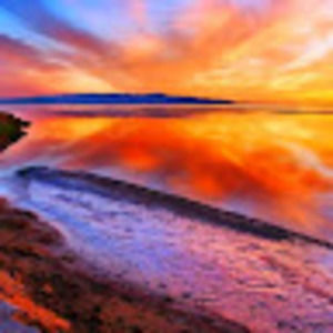 Meet your Posher, Missy